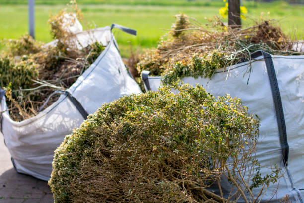 Full-Service Junk Removal in Maineville, OH